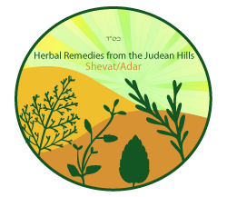 סִּרְפָּד – Stinging Nettle –  Urtica Dioica