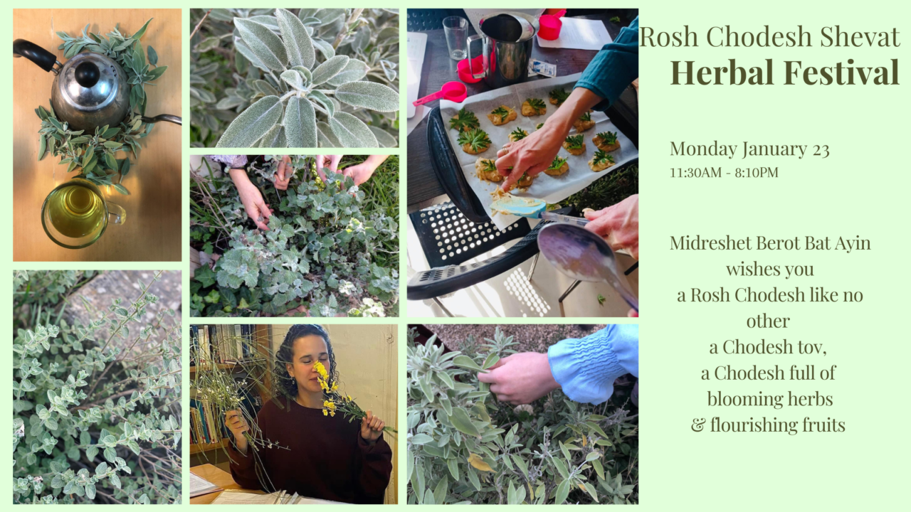 Herbal Festival Midreshet B'erot Bat Ayin